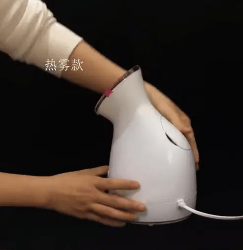 Nano Ionic Facial Steamer Portable
