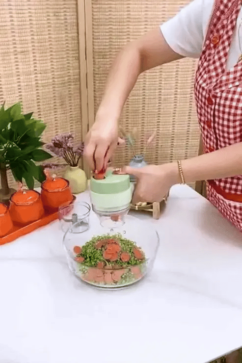 Meet & Vagitable Recharable Wireless Electric Chopper